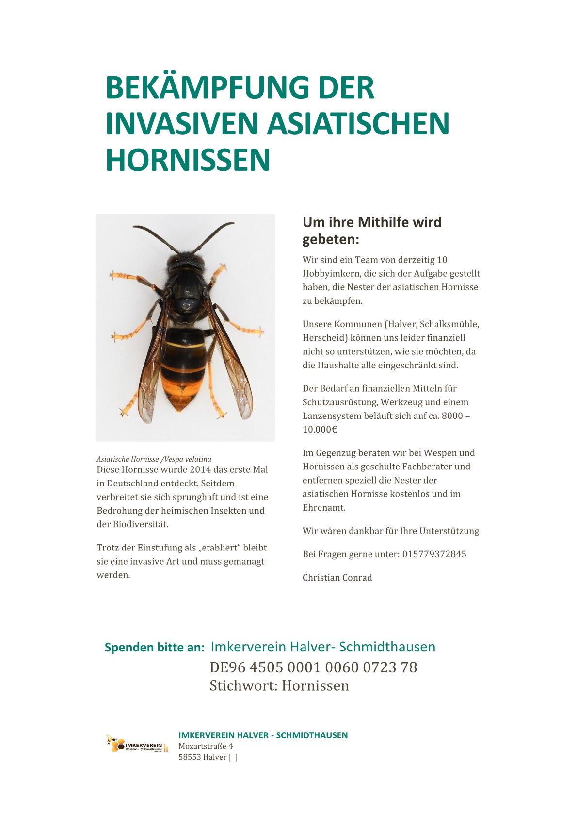 Spendenaufruf_Hornissen_2026